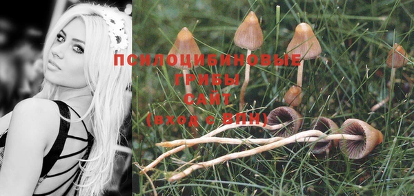ешки Богданович