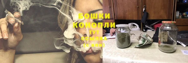 ешки Богданович