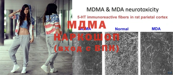 ешки Богданович