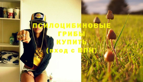 эйфоретик Богородицк