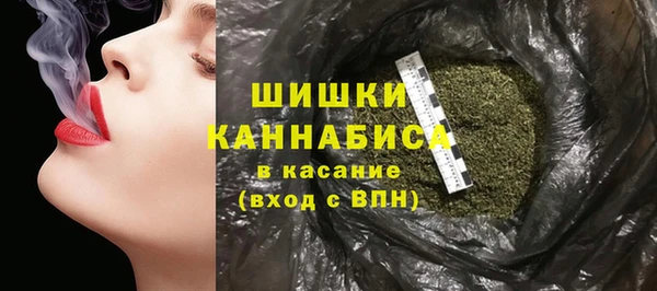 ешки Богданович