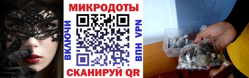 мега рабочий сайт  Демидов  Галлюциногенные грибы мицелий 